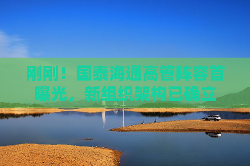 剛剛！國泰海通高管陣容首曝光，新組織架構(gòu)已確立