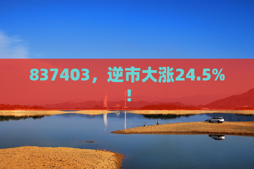 837403，逆市大漲24.5%！