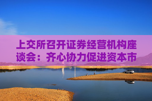 上交所召開證券經(jīng)營機(jī)構(gòu)座談會：齊心協(xié)力促進(jìn)資本市場健康穩(wěn)定發(fā)展