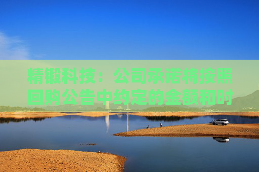 精鍛科技：公司承諾將按照回購公告中約定的金額和時間完成回購  第1張