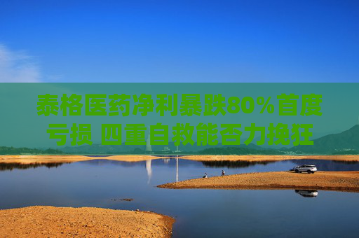 泰格醫(yī)藥凈利暴跌80%首度虧損 四重自救能否力挽狂瀾？