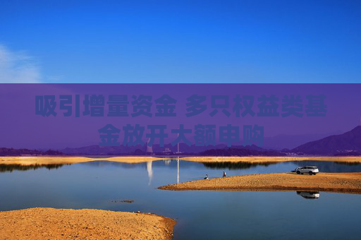 吸引增量資金 多只權(quán)益類基金放開大額申購