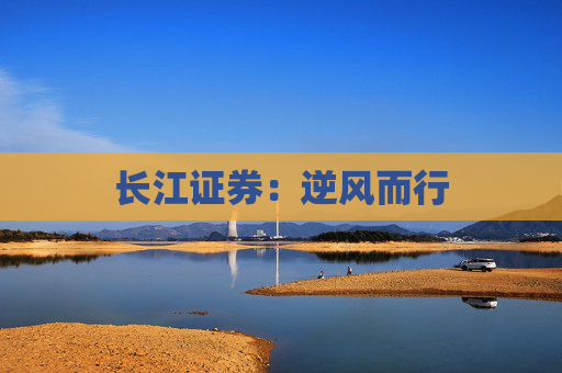 長江證券：逆風而行