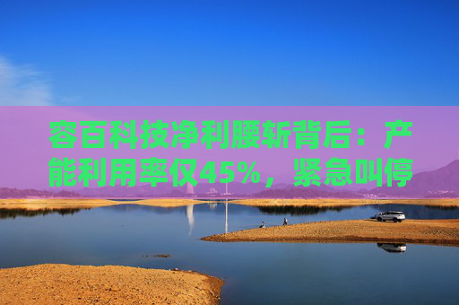 容百科技凈利腰斬背后：產(chǎn)能利用率僅45%，緊急叫停擴(kuò)產(chǎn)項(xiàng)目