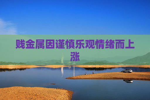 賤金屬因謹慎樂觀情緒而上漲