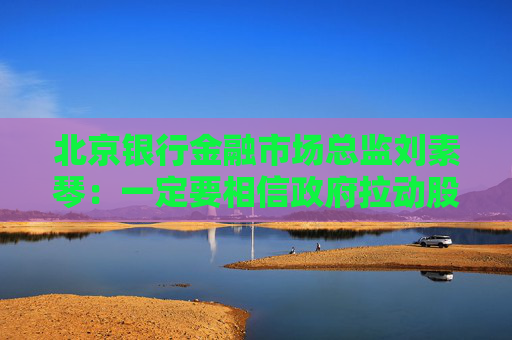 北京銀行金融市場(chǎng)總監(jiān)劉素琴：一定要相信政府拉動(dòng)股市的決心