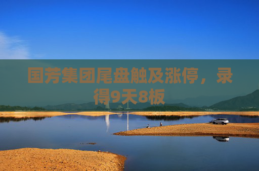 國(guó)芳集團(tuán)尾盤(pán)觸及漲停，錄得9天8板
