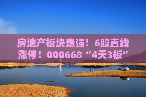 房地產(chǎn)板塊走強！6股直線漲停！000668“4天3板”  第1張