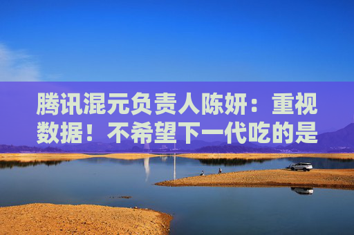 騰訊混元負(fù)責(zé)人陳妍：重視數(shù)據(jù)！不希望下一代吃的是大模型吐出來(lái)的垃圾  第1張