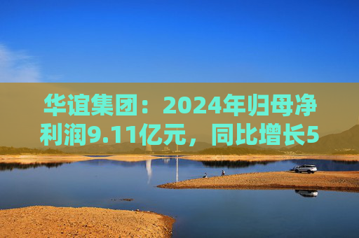 華誼集團：2024年歸母凈利潤9.11億元，同比增長5.76%