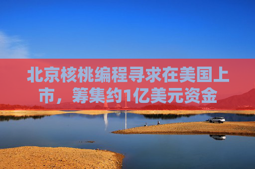 北京核桃編程尋求在美國上市，籌集約1億美元資金