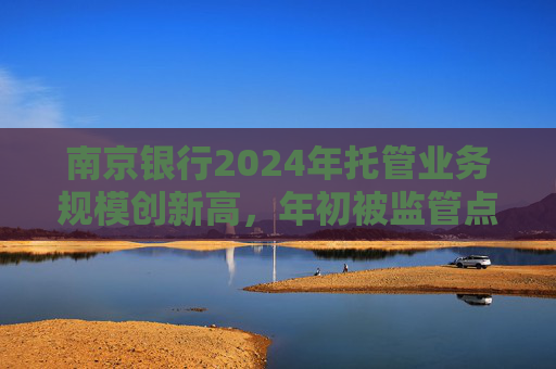 南京銀行2024年托管業(yè)務(wù)規(guī)模創(chuàng)新高，年初被監(jiān)管點(diǎn)名合規(guī)風(fēng)險(xiǎn)顯現(xiàn)  第1張
