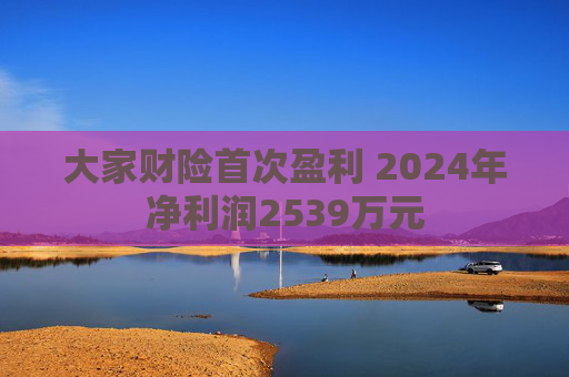 大家財(cái)險(xiǎn)首次盈利 2024年凈利潤(rùn)2539萬(wàn)元