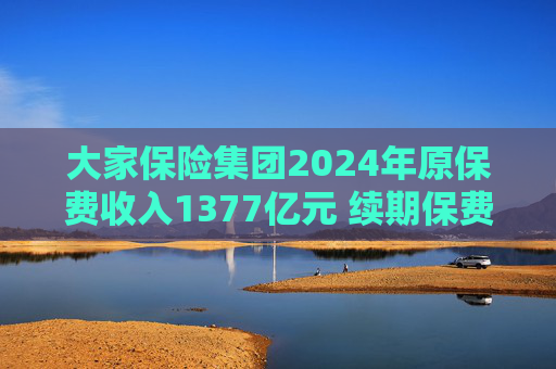 大家保險(xiǎn)集團(tuán)2024年原保費(fèi)收入1377億元 續(xù)期保費(fèi)首次超越新單保費(fèi)  第1張