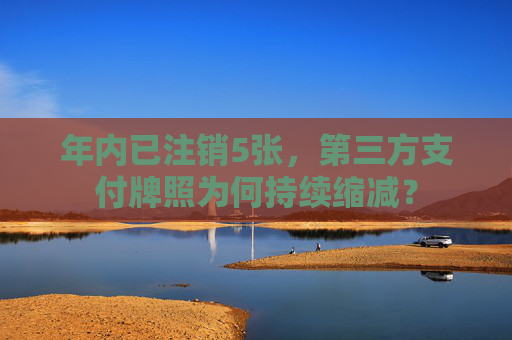 年內(nèi)已注銷5張，第三方支付牌照為何持續(xù)縮減？  第1張