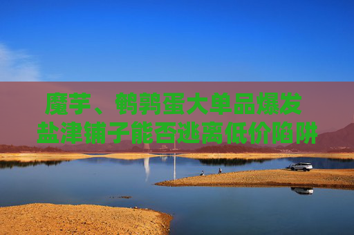 魔芋、鵪鶉蛋大單品爆發(fā) 鹽津鋪子能否逃離低價陷阱？