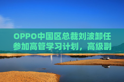 OPPO中國區(qū)總裁劉波卸任參加高管學(xué)習(xí)計劃，高級副總裁段要輝直接負責(zé)中國市場