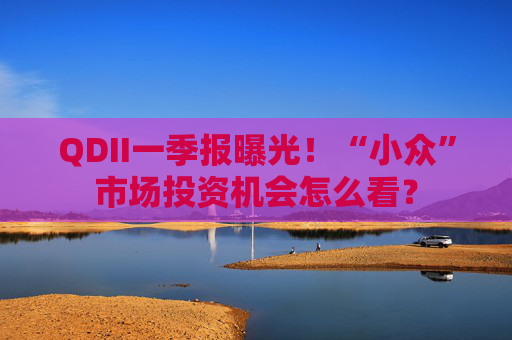 QDII一季報(bào)曝光！“小眾”市場(chǎng)投資機(jī)會(huì)怎么看？