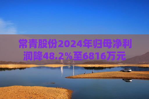 常青股份2024年歸母凈利潤降48.2%至6816萬元  第1張