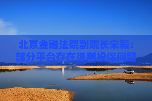 北京金融法院副院長宋毅：部分平臺存在強制投保問題