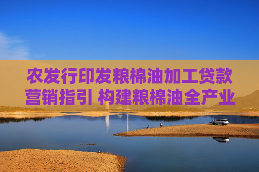 農(nóng)發(fā)行印發(fā)糧棉油加工貸款營銷指引 構(gòu)建糧棉油全產(chǎn)業(yè)鏈營銷產(chǎn)品體系