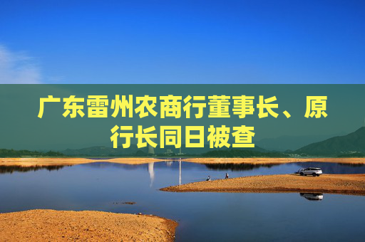 廣東雷州農(nóng)商行董事長(zhǎng)、原行長(zhǎng)同日被查
