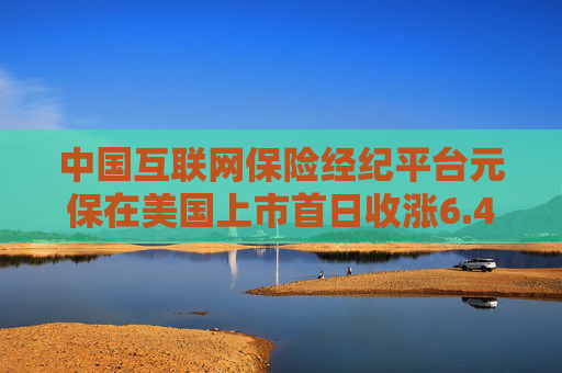 中國互聯(lián)網(wǎng)保險經(jīng)紀平臺元保在美國上市首日收漲6.4%  第1張