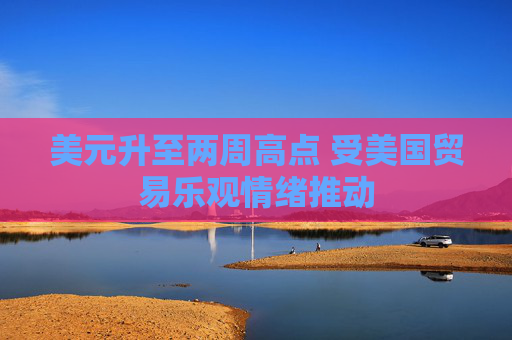 美元升至兩周高點 受美國貿(mào)易樂觀情緒推動