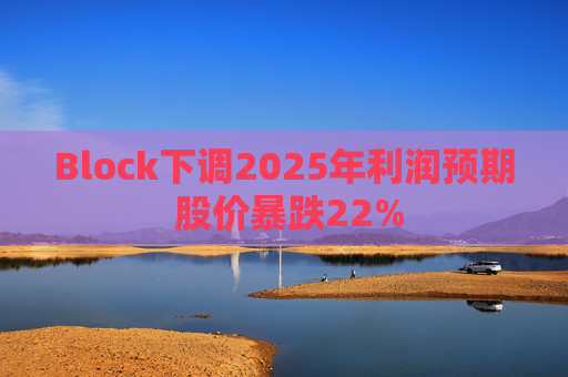 Block下調(diào)2025年利潤(rùn)預(yù)期 股價(jià)暴跌22%