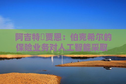 阿吉特?賈恩：伯克希爾的保險(xiǎn)業(yè)務(wù)對人工智能采取 “觀望” 態(tài)度  第1張