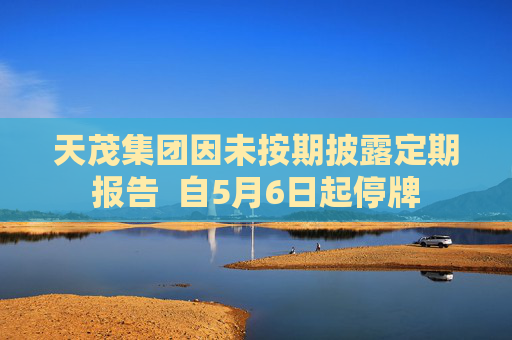 天茂集團因未按期披露定期報告  自5月6日起停牌