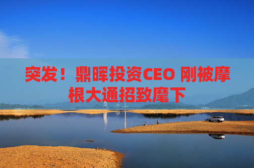突發(fā)！鼎暉投資CEO 剛被摩根大通招致麾下