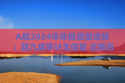 A股2024年年報(bào)質(zhì)量透視：超九成審計(jì)無保留 近兩百家獲“非標(biāo)”