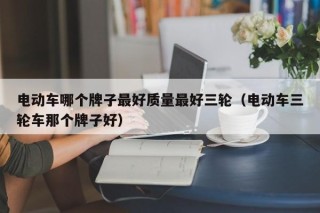 電動(dòng)車哪個(gè)牌子最好質(zhì)量最好三輪（電動(dòng)車三輪車那個(gè)牌子好）