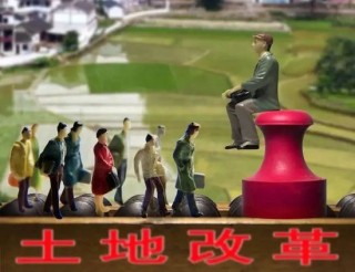 周天勇：不能貿(mào)然推進農(nóng)村集體土地的國有化