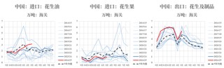 【市場聚焦】花生：反常態(tài)的進口