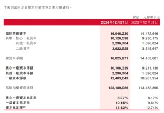 瀘州銀行募資補充核心一級資本 去年關(guān)注類貸款金額翻倍