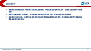 【申萬宏源策略】溢價(jià)收斂，龍頭為先——2025年中期美股策略觀點(diǎn)