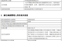 興華基金新任張翔為首席信息官 個(gè)人系公募規(guī)?？s水困局如何破解？