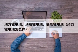 動力鋰電池、消費(fèi)鋰電池、儲能鋰電池（動力鋰電池怎么樣）