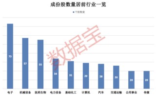 上交所重磅，“滬市小盤”指數(shù)上新！機(jī)構(gòu)高比例持股名單曝光