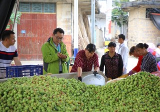 在安徽蕪湖，這家企業(yè)靠賣青梅的公司溜溜梅沖擊IPO