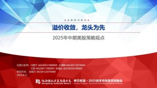【申萬宏源策略】溢價(jià)收斂，龍頭為先——2025年中期美股策略觀點(diǎn)