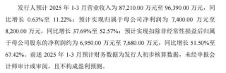兩大國(guó)內(nèi)細(xì)分龍頭，明日申購(gòu)
