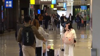 被國際旅客“拋棄”？今年赴美國際旅客數(shù)量預(yù)計將下降8.7%