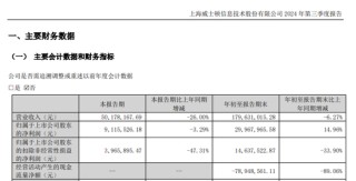 威士頓實(shí)控人茆宇忠離婚，前妻擬分走股份市值超9億元