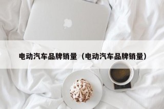 電動(dòng)汽車(chē)品牌銷(xiāo)量（電動(dòng)汽車(chē)品牌銷(xiāo)量）