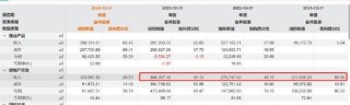 京基智農(nóng)低估值之謎？巨額地產(chǎn)項(xiàng)目是否被大股東分食 大股東有無掏空之嫌