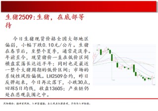 中天期貨:螺紋弱勢震蕩 尿素繼續(xù)走弱