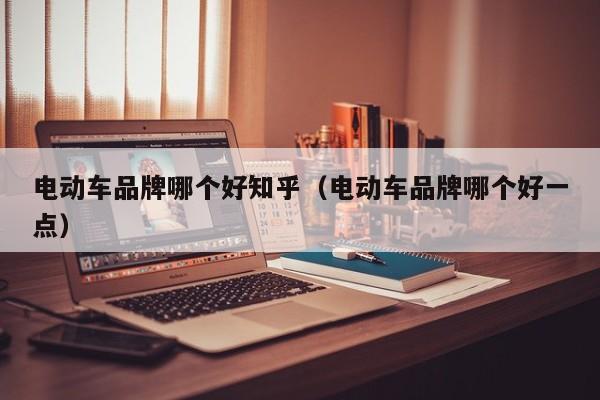 電動車品牌哪個好知乎（電動車品牌哪個好一點）  第1張